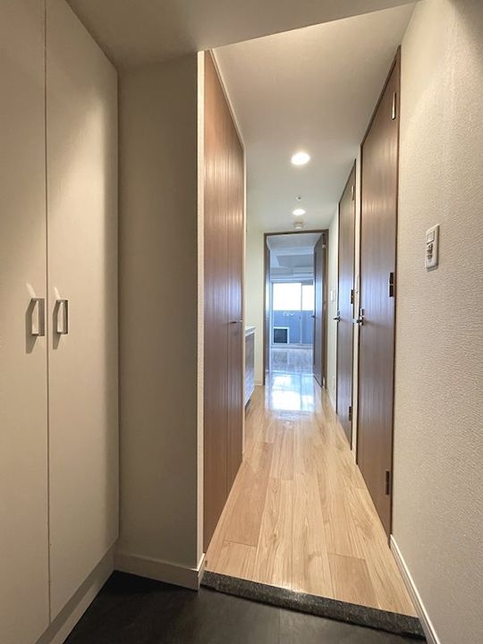 プレサンス丸の内城雅の玄関