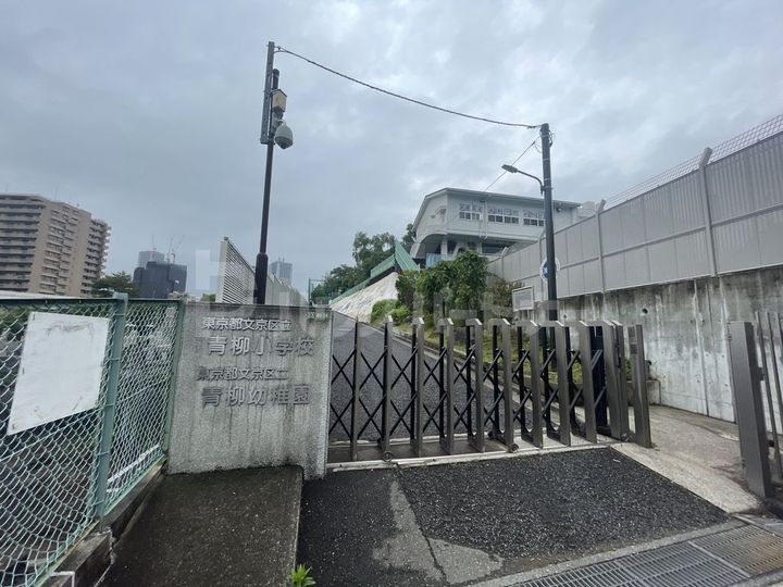 Lienの周辺