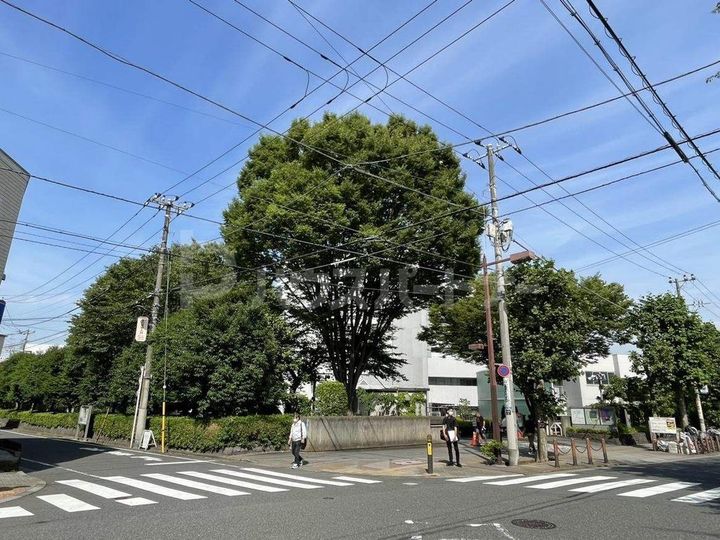 Lienの周辺