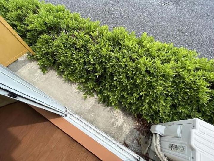 レオパレスチェルシーの内装