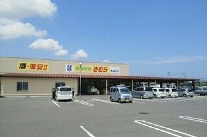 チェリ ブラッサムIIIの周辺
