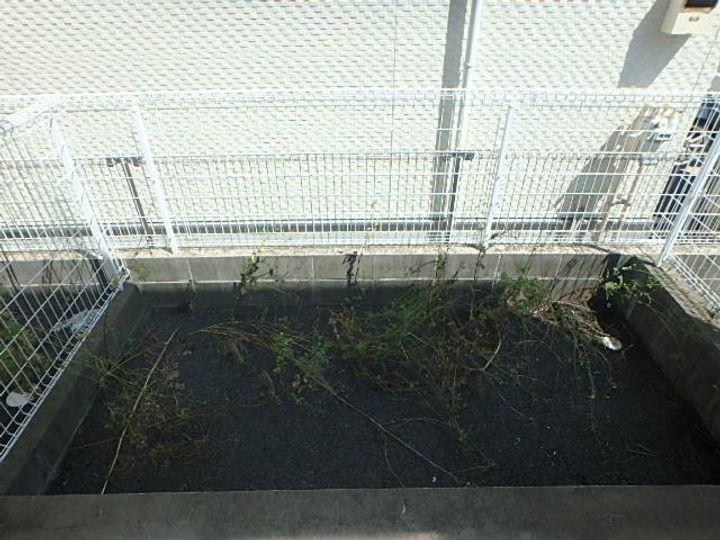 千葉県市川市南行徳4(アパート)の賃貸物件の内装