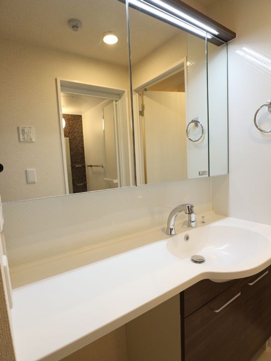 神奈川県相模原市緑区東橋本1(アパート)の賃貸物件の内装