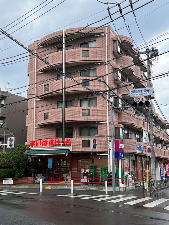 ライズワン・平井の周辺