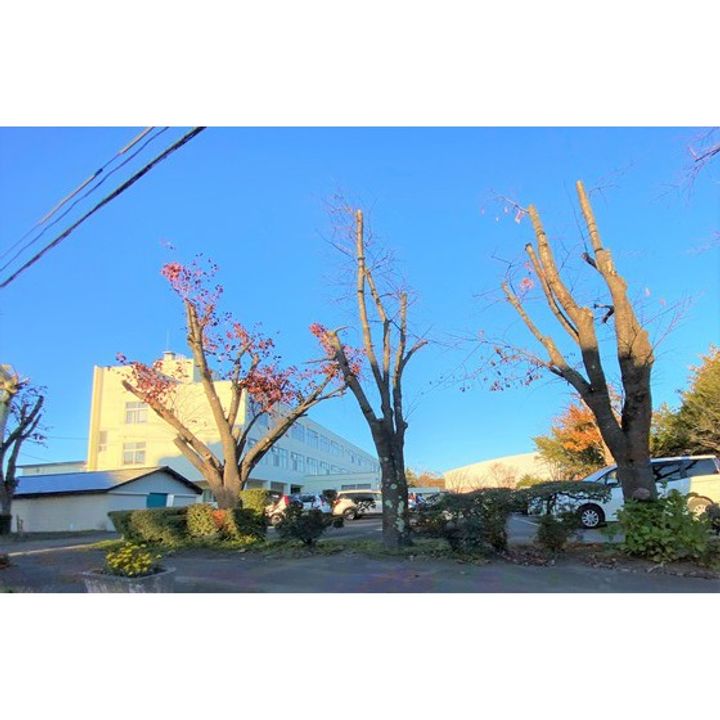 サニークレスト近井IIの周辺