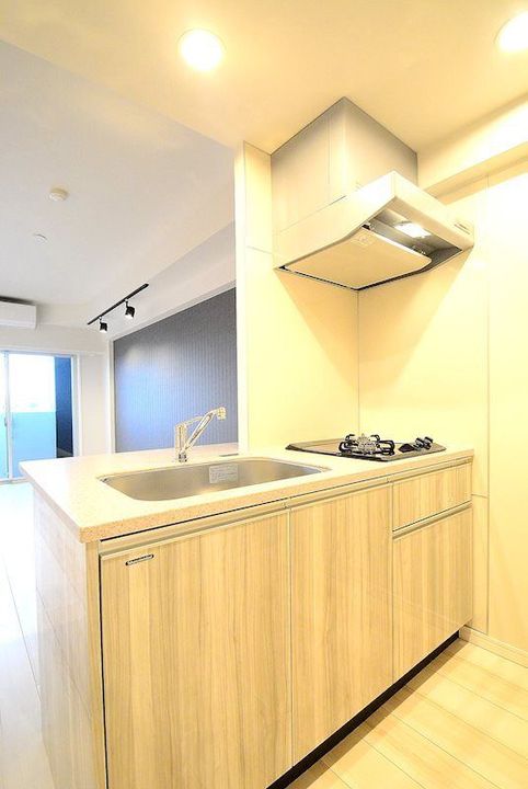 東京都板橋区南常盤台1(マンション)の賃貸物件のキッチン