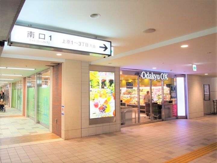 東京都渋谷区上原3(マンション)の賃貸物件の周辺