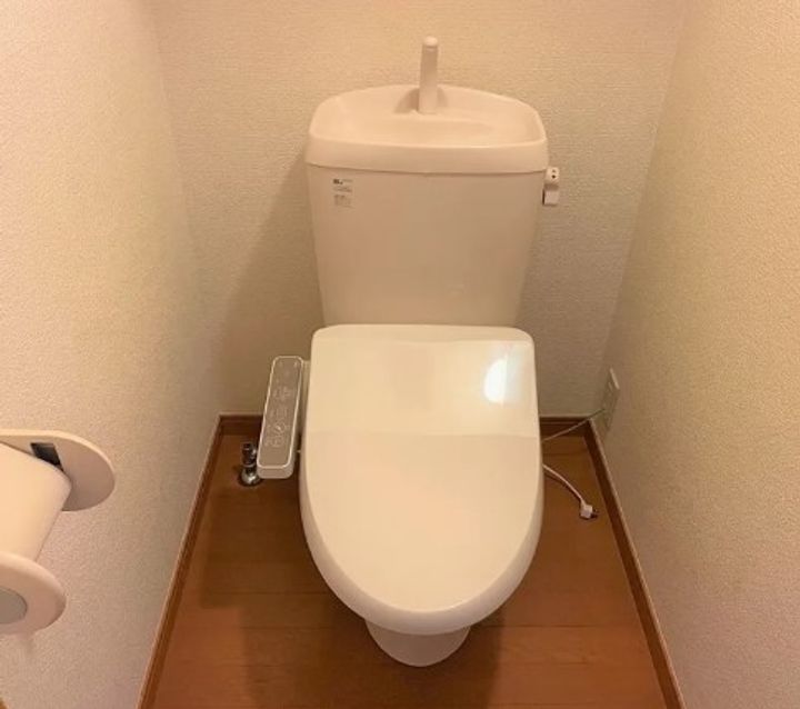 千葉県佐倉市臼井田(アパート)の賃貸物件の内装