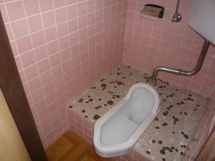 鹿児島県鹿児島市田上台3(アパート)の賃貸物件の内装