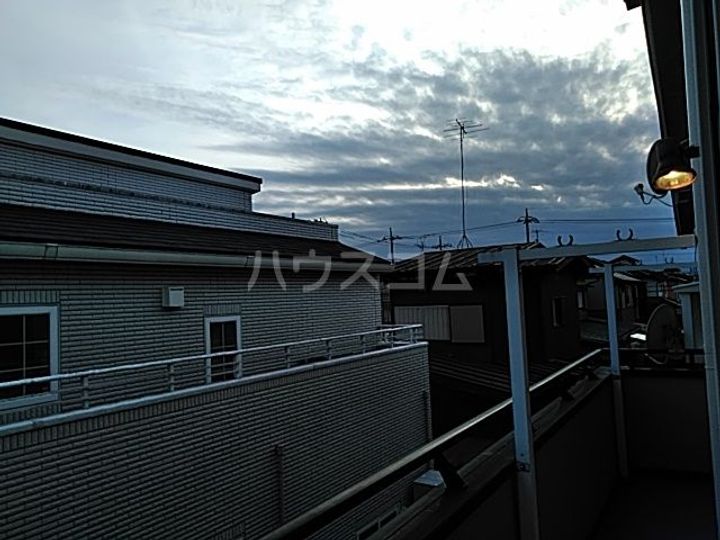 エーデルワイスのその他画像