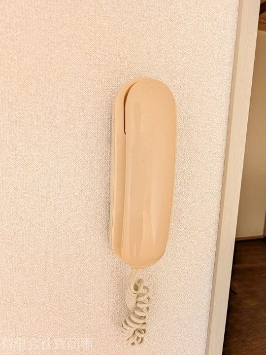 グリーンハイツ・YOSHIDAの内装