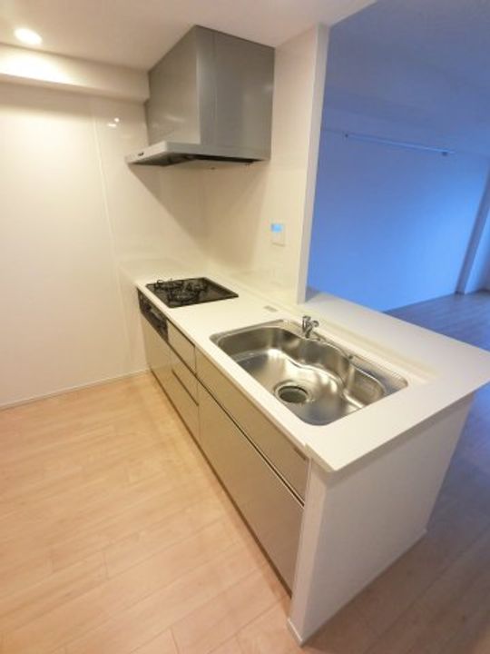 リーフシティ市川 ザ・レジデンスのキッチン