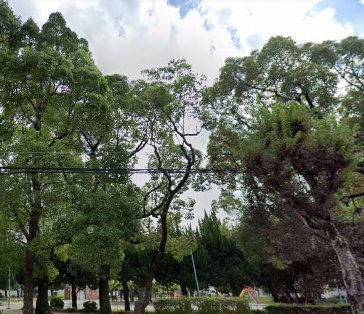 大阪府大阪市北区大淀中1(マンション)の賃貸物件の周辺