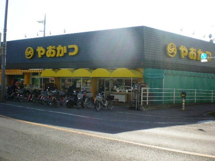 埼玉県さいたま市西区大字宝来(一戸建)の賃貸物件の周辺