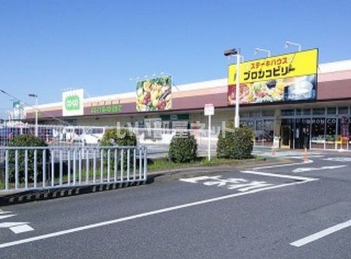 千葉県八千代市大和田新田(一戸建)の賃貸物件の周辺