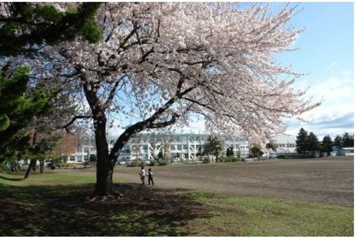 ハイカムール根城の周辺