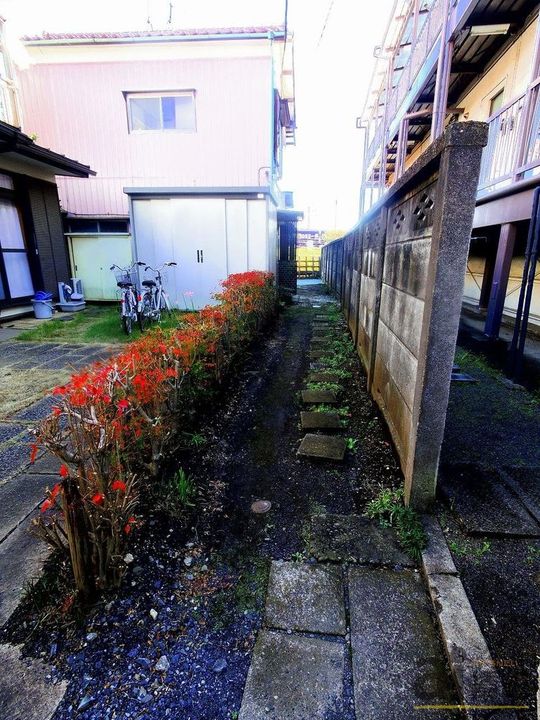 埼玉県所沢市東住吉(一戸建)の賃貸物件のその他画像