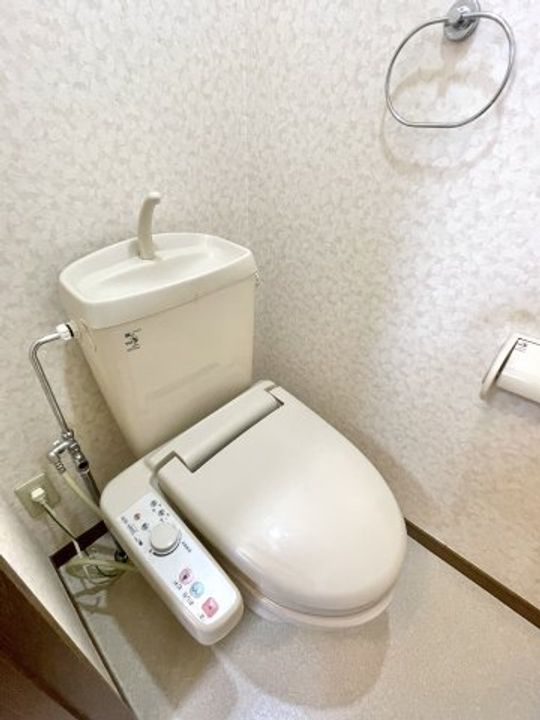 埼玉県川口市芝樋ノ爪2(アパート)の賃貸物件の内装