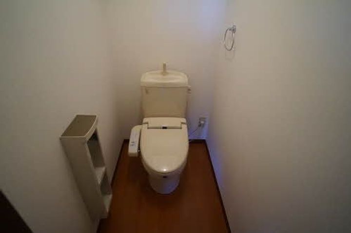 奥州市水沢字虚空蔵小路【シャーメゾン・グレイス】築19年の内装