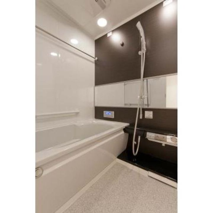 東京都港区南麻布3(マンション)の賃貸物件の風呂