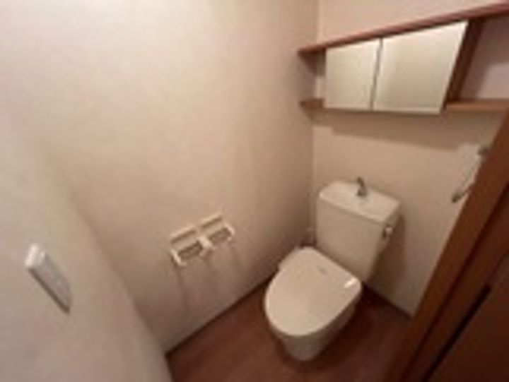 岡山県岡山市南区西市(アパート)の賃貸物件の内装