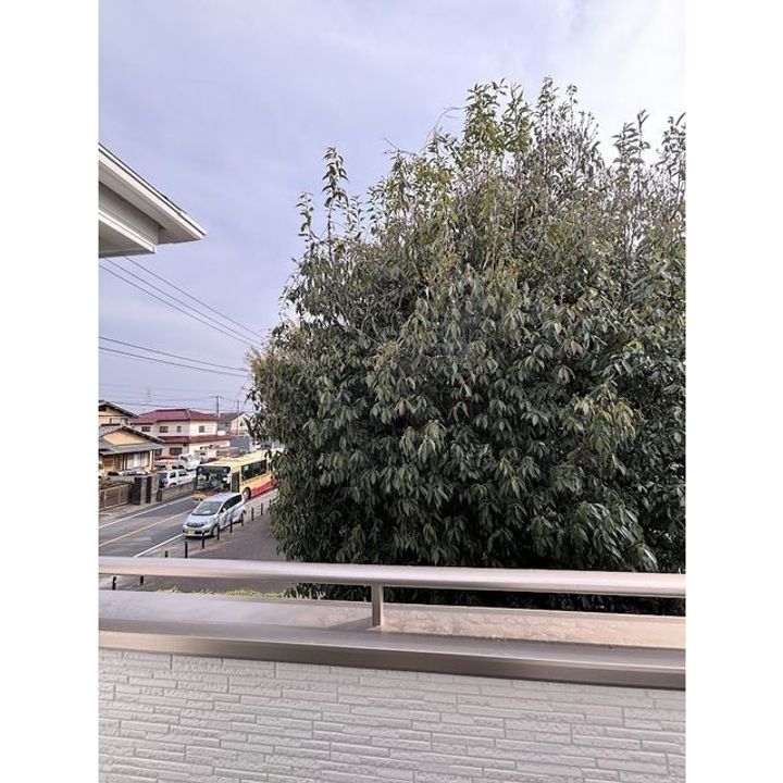 神奈川県横浜市泉区上飯田町(一戸建)の賃貸物件の内装