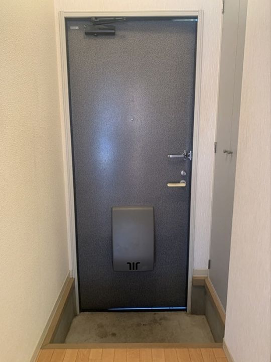 神奈川県座間市入谷東3(アパート)の賃貸物件の玄関
