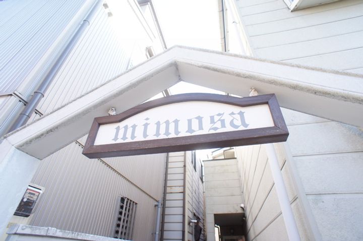 ミモザのその他画像