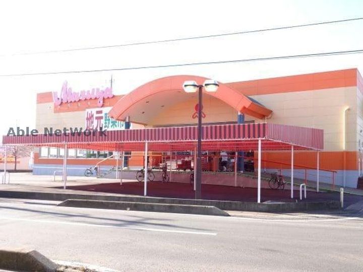 茨城県古河市女沼(アパート)の賃貸物件の周辺