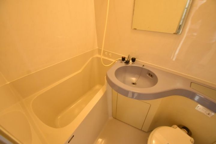 群馬県高崎市八島町(マンション)の賃貸物件の内装