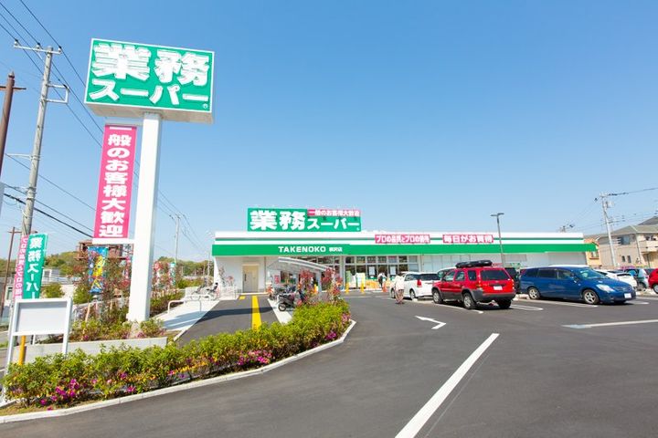 神奈川県藤沢市大鋸(一戸建)の賃貸物件の周辺