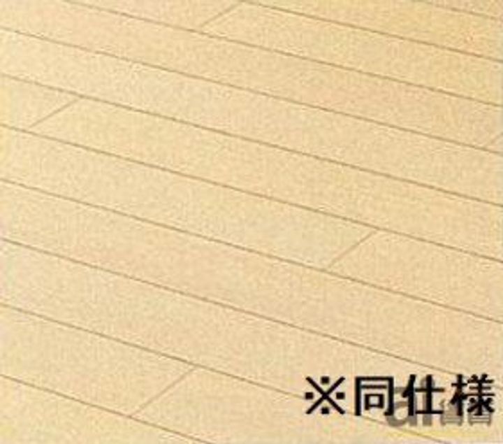 東京都国立市谷保(アパート)の賃貸物件の内装