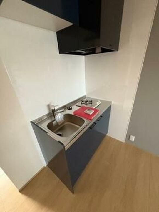 ワンにゃんハウスティラーノ1番館のキッチン