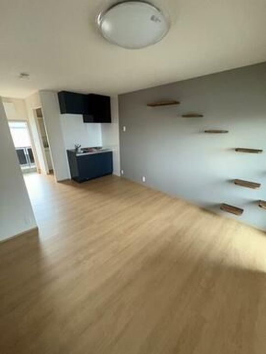 ワンにゃんハウスティラーノ1番館の内装