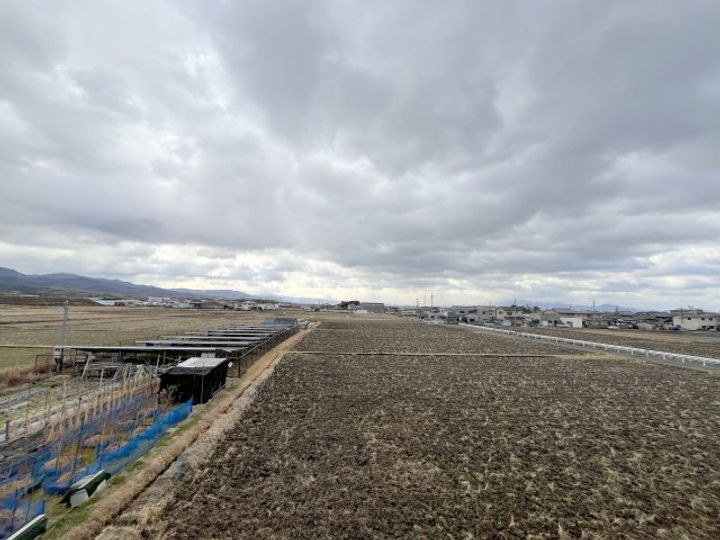 シャルマン ヴィラージュD棟のその他画像