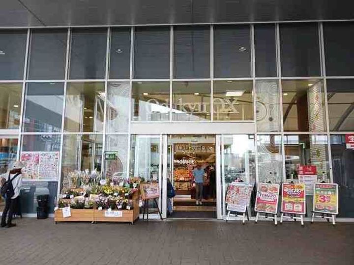 オーレヴィアの周辺