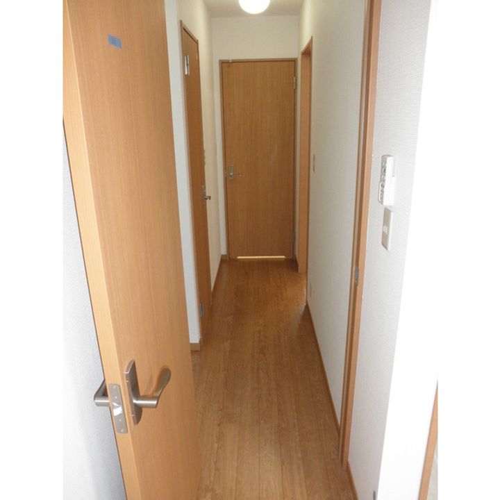 大阪府八尾市萱振町6(アパート)の賃貸物件の玄関