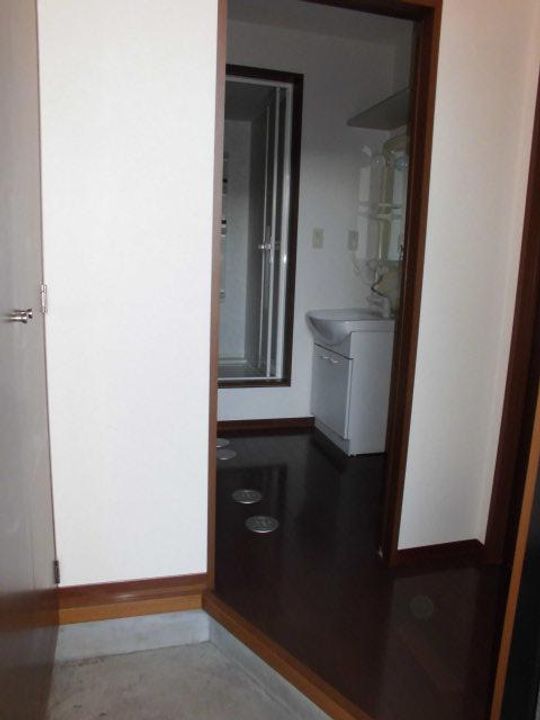 ディアス花やはば Aの玄関