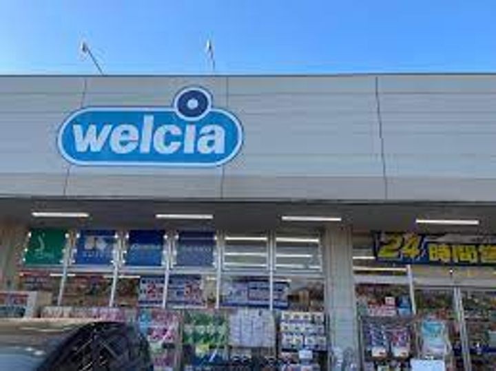 東京都府中市是政5(マンション)の賃貸物件の周辺