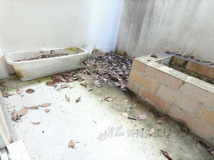 プリオーレ衣笠の内装