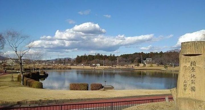 ストロベリーフィールズの周辺