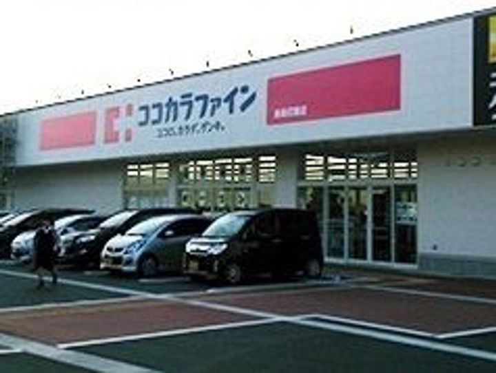 ルピナスの周辺