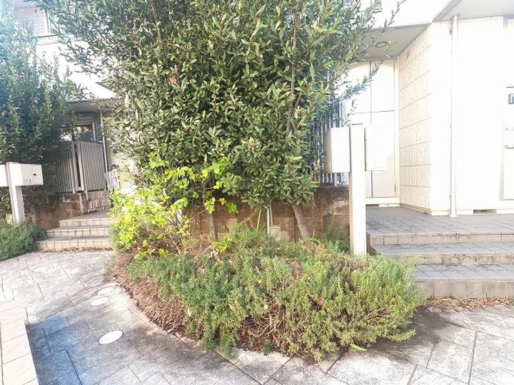 東京都国立市北1(マンション)の賃貸物件のその他画像