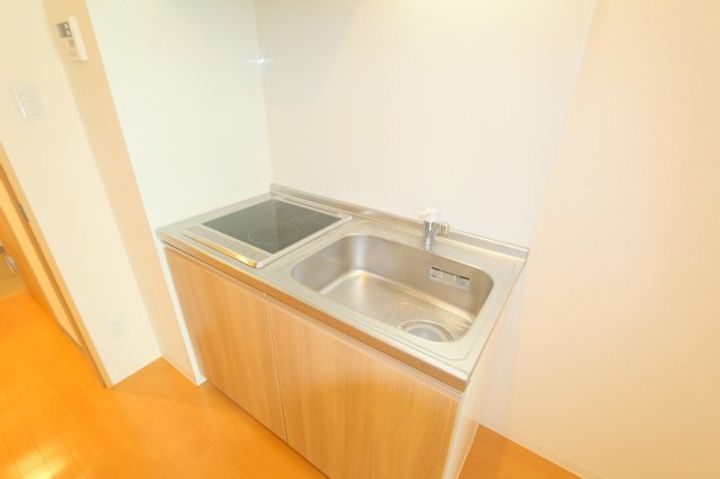 大阪府豊中市玉井町1(マンション)の賃貸物件のキッチン