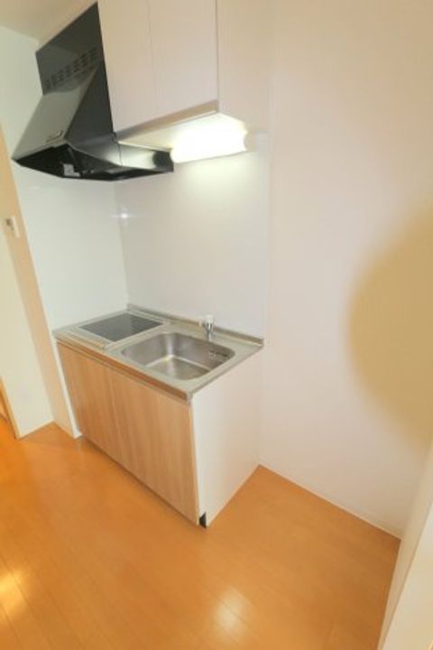 大阪府豊中市玉井町1(マンション)の賃貸物件の内装