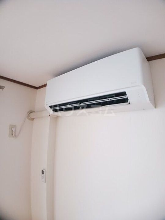 イーストマニのその他画像