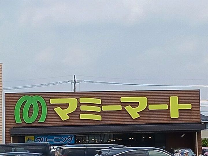 埼玉県川口市大字安行西立野(アパート)の賃貸物件の周辺