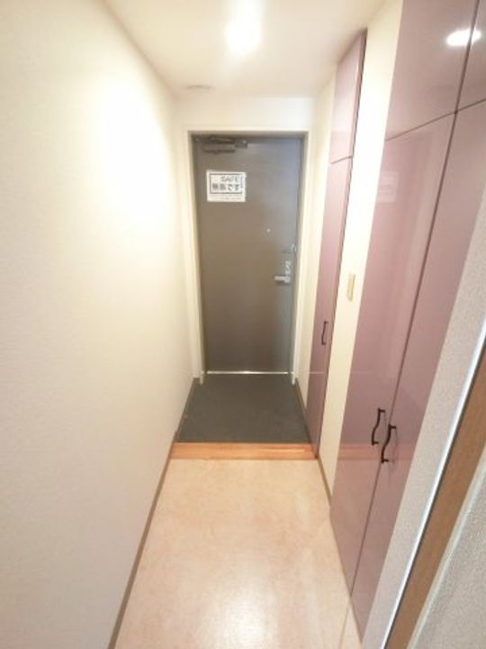 千葉県千葉市美浜区打瀬2(マンション)の賃貸物件の玄関