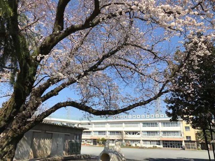 コーポつつじの周辺