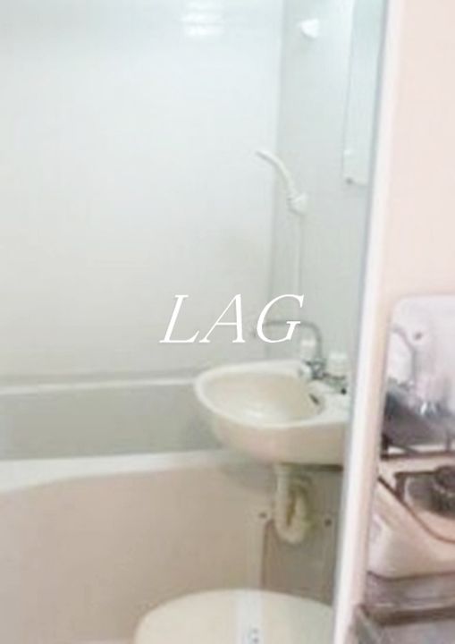 東京都中野区野方1(アパート)の賃貸物件の内装